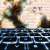 Beware: Godfather Malware Targets Your Bank Apps