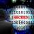 Security Skills Shortage Puts Firms at Risk